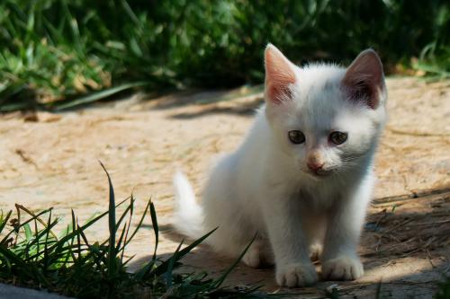 沈阳在市内9区开展全员核酸检测 非必要不离沈