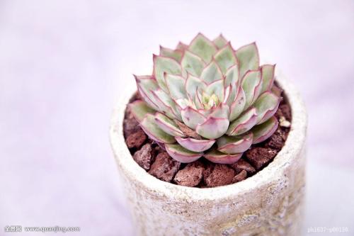 还有6个月,高考生该如何迎战新高考?建议来了