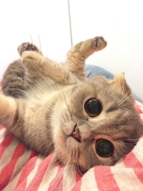 ÁªÍøºô½Ð¡¢ÖÇÄÜ¿µ¸´¡¡ÖÇ»ÛÑøÀÏ¡°Ò»¼ü¡±Ö±´ï